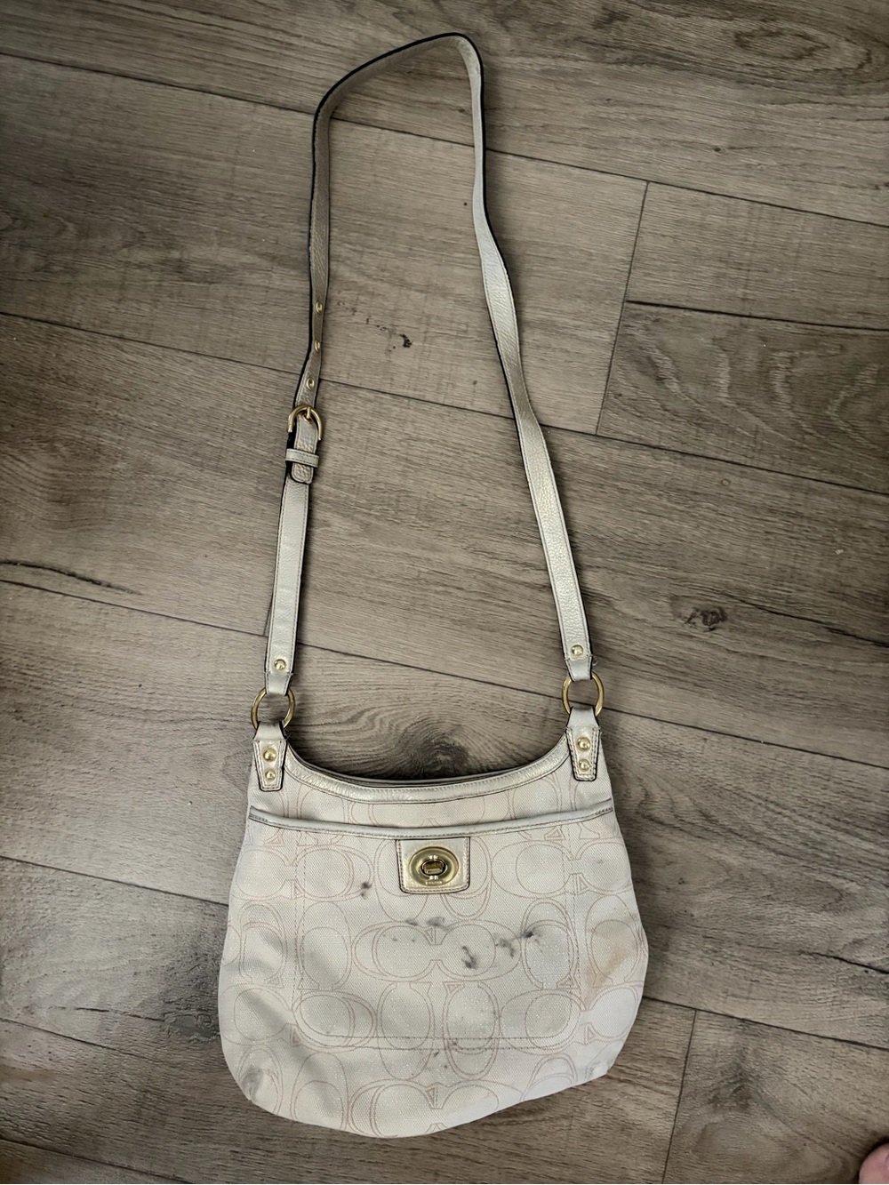 Authentic Vintage Coach Bag: Project Bag